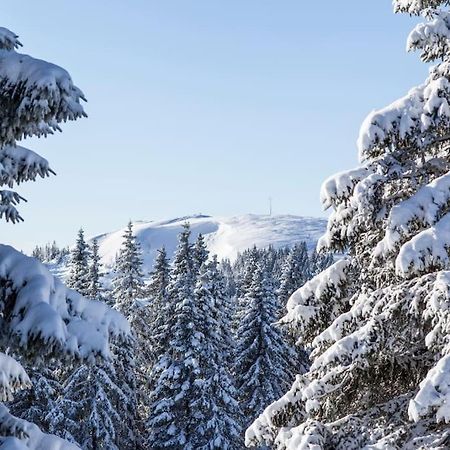 Waldblick Titisee Dış mekan fotoğraf