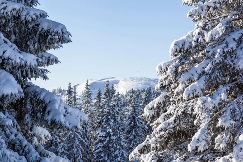 Waldblick Titisee Dış mekan fotoğraf