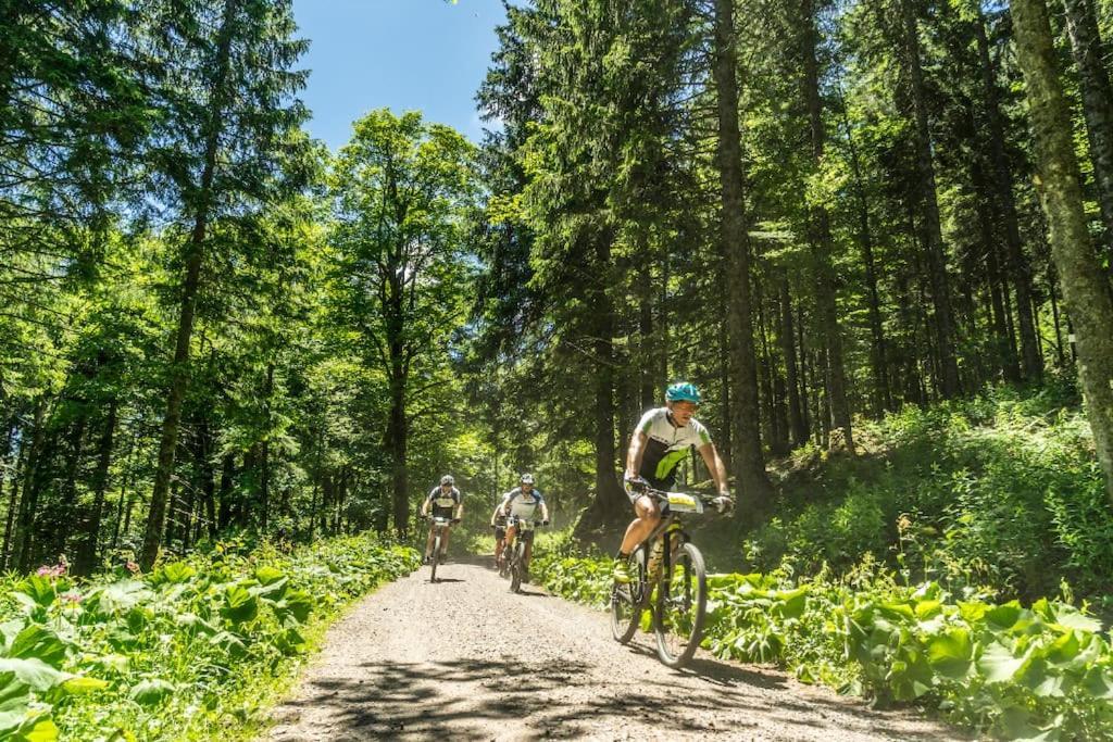 Waldblick Titisee Dış mekan fotoğraf